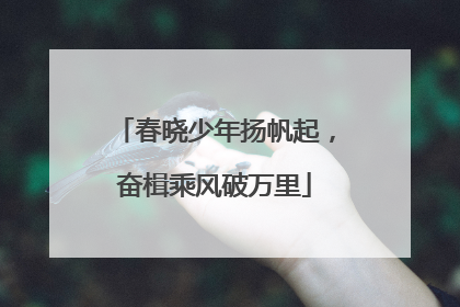 春晓少年扬帆起，奋楫乘风破万里